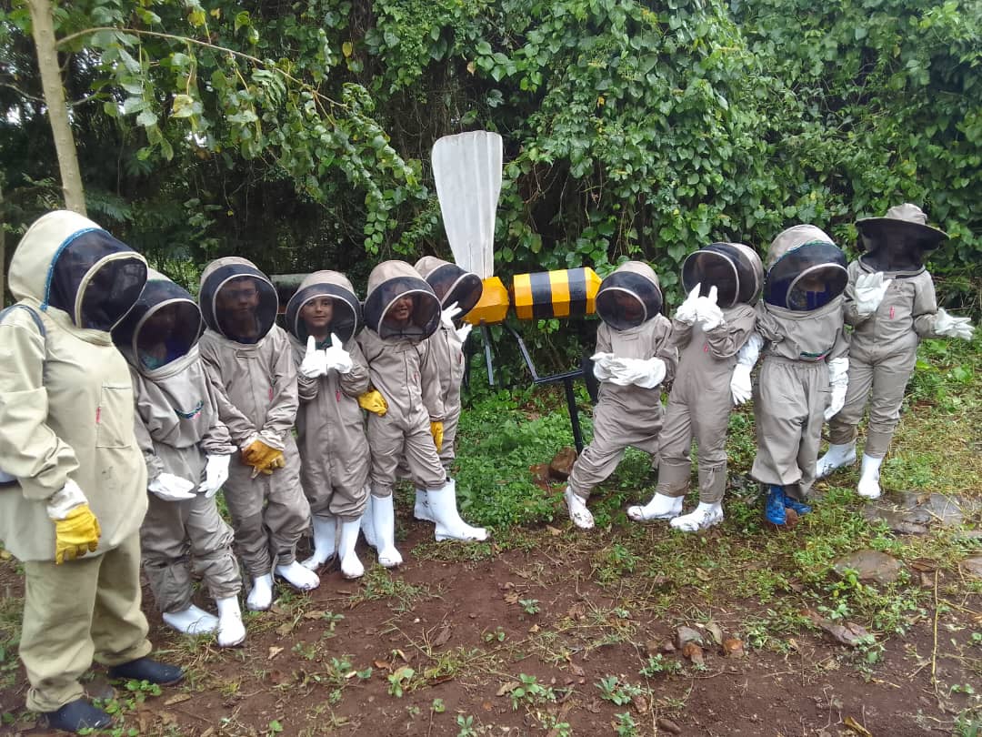 API Health Products - Premium honey and beekeeping services